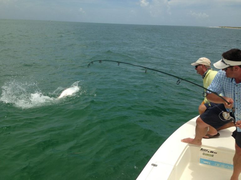 Captain Morgan during one of many charters who is pulling in a large fish in the waters of Boca Grande.